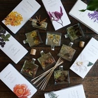 BOTANICAL REED DIFFUSERS / ROSY RINGS