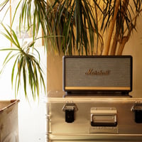 STANMORE 2 / MARSHALL
