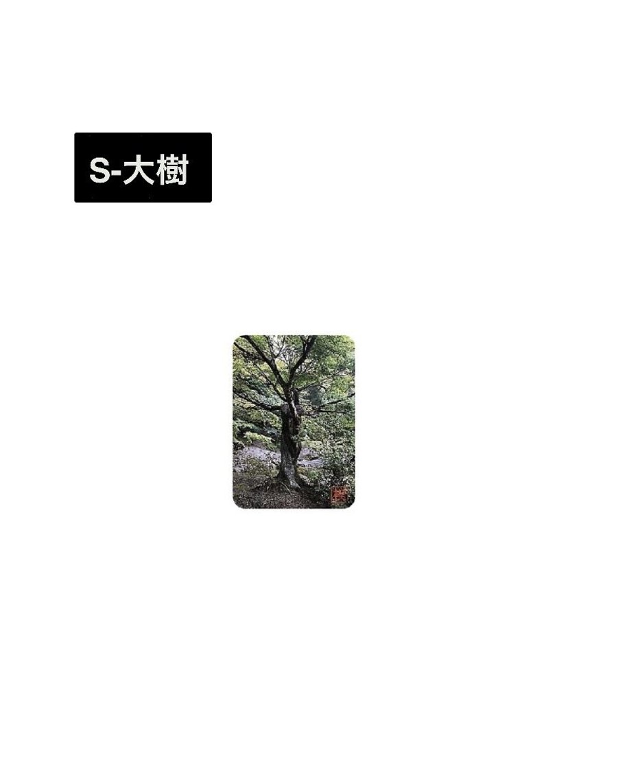 5f1fc732791d02526d41e731