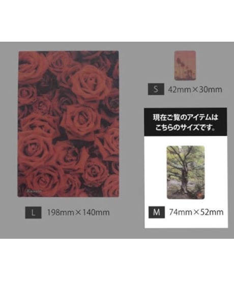 電磁波有益変換シート「Kusabi®︎」【Mサイズ/第一弾】