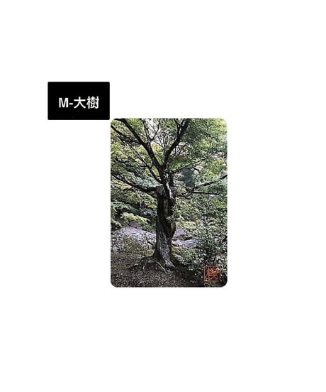 電磁波有益変換シート「Kusabi®︎」【Mサイズ/第一弾】