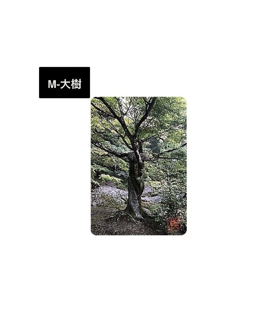 5ee71ed81829cd33749ec805