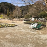 課題別・特別講座（６）　　　　【受講料　5千円（税込み）】　　「マインドフルネス・フォーカシング入門」
