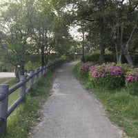 課題別・特別講座（８）　　　　【受講料　5千円（税込み）】　　「とね式マインドフルネス・ビジュアライゼーション　～　美しいリゾート地でリラックスする、３つのイメージワーク」