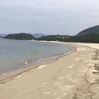 課題別・特別講座（４）　　　　【受講料　5千円（税込み）】　　「自然治癒力・回復力・抵抗力を高める美しい熱帯魚のイメージワーク」