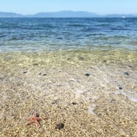 The Seto Inland Sea