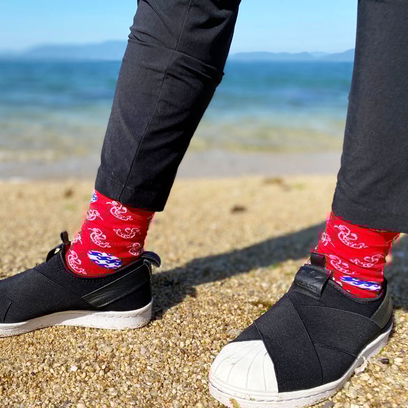 Adidas superstar slip top on with socks