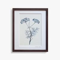 Garnish/Dill