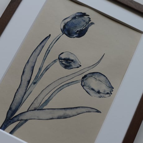 2025 Tulips 3
