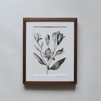 花とつぼみ