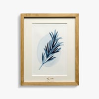 Watery 「Rosemary」