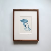 しいたけ　水彩画
