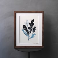 Garnish/arugula