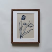 2025 Tulips 3