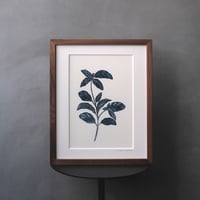 Garnish/Basil