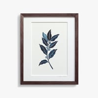 Garnish/Laurel