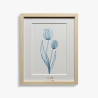 Watery 「Watery Tulip」