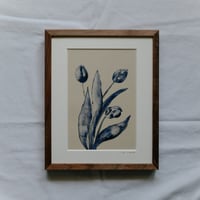 Tulips 3
