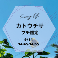 カトウチサ　プチ鑑定 14:45-14:55