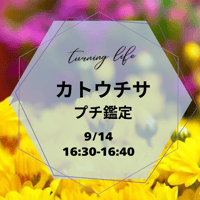 カトウチサ　プチ鑑定　16:30-16:40