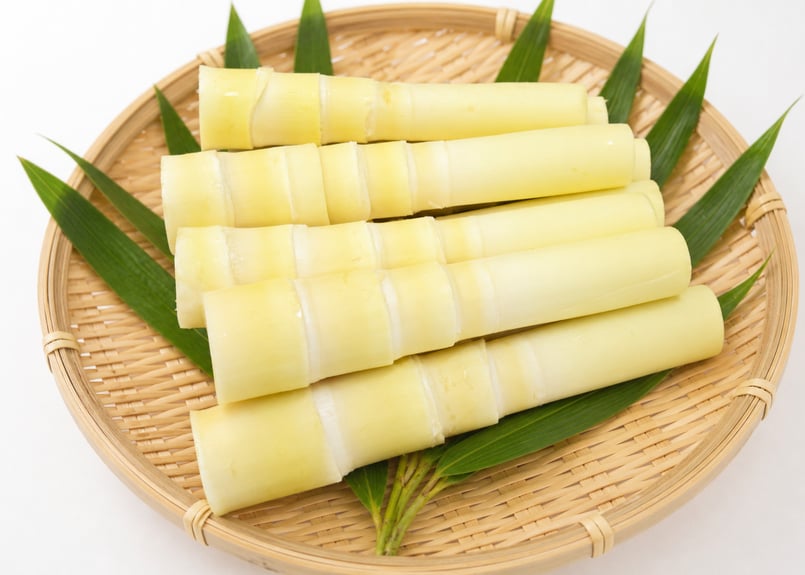 2026年度 販売終了】竹島産 大名筍（生）｜採れたて直送・アク抜き不要