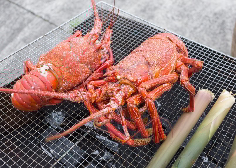 公園づくり応援】獲れたて冷凍 伊勢海老！ | GO!MISHIMA ONLINE-STORE