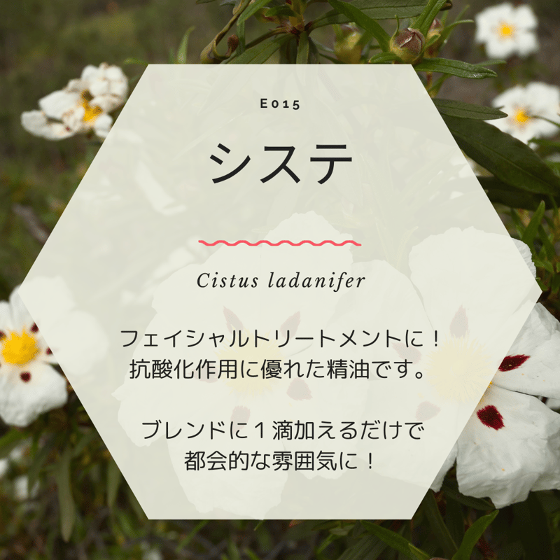 5ml＞有機エッセンシャルオイル システ | Les Mignardises