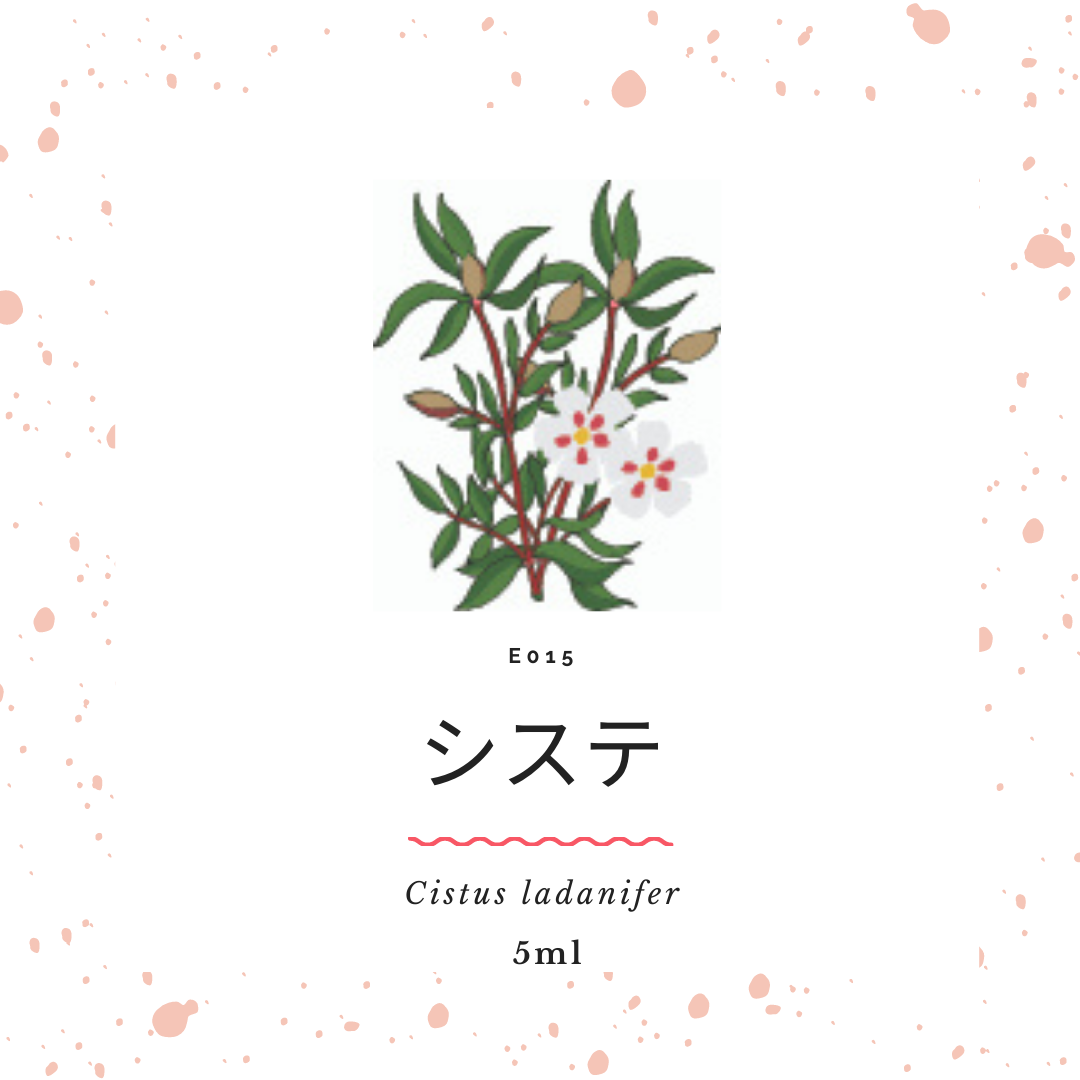 5ml＞有機エッセンシャルオイル システ | Les Mignardises