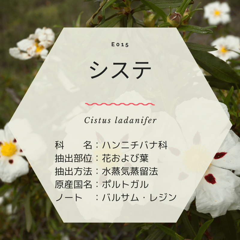 5ml＞有機エッセンシャルオイル システ | Les Mignardises
