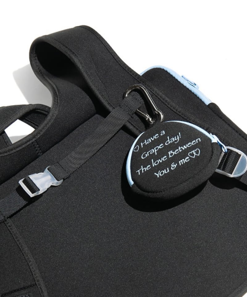 grape laptop bag リュック GRAPE / Laptop Bag (Black x Light Blue) | I/O PORT