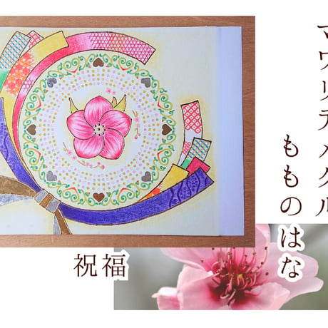桃の花 | STORES