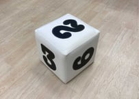 【1品限り】数字サイコロ白（柔らかウレタン仕様）