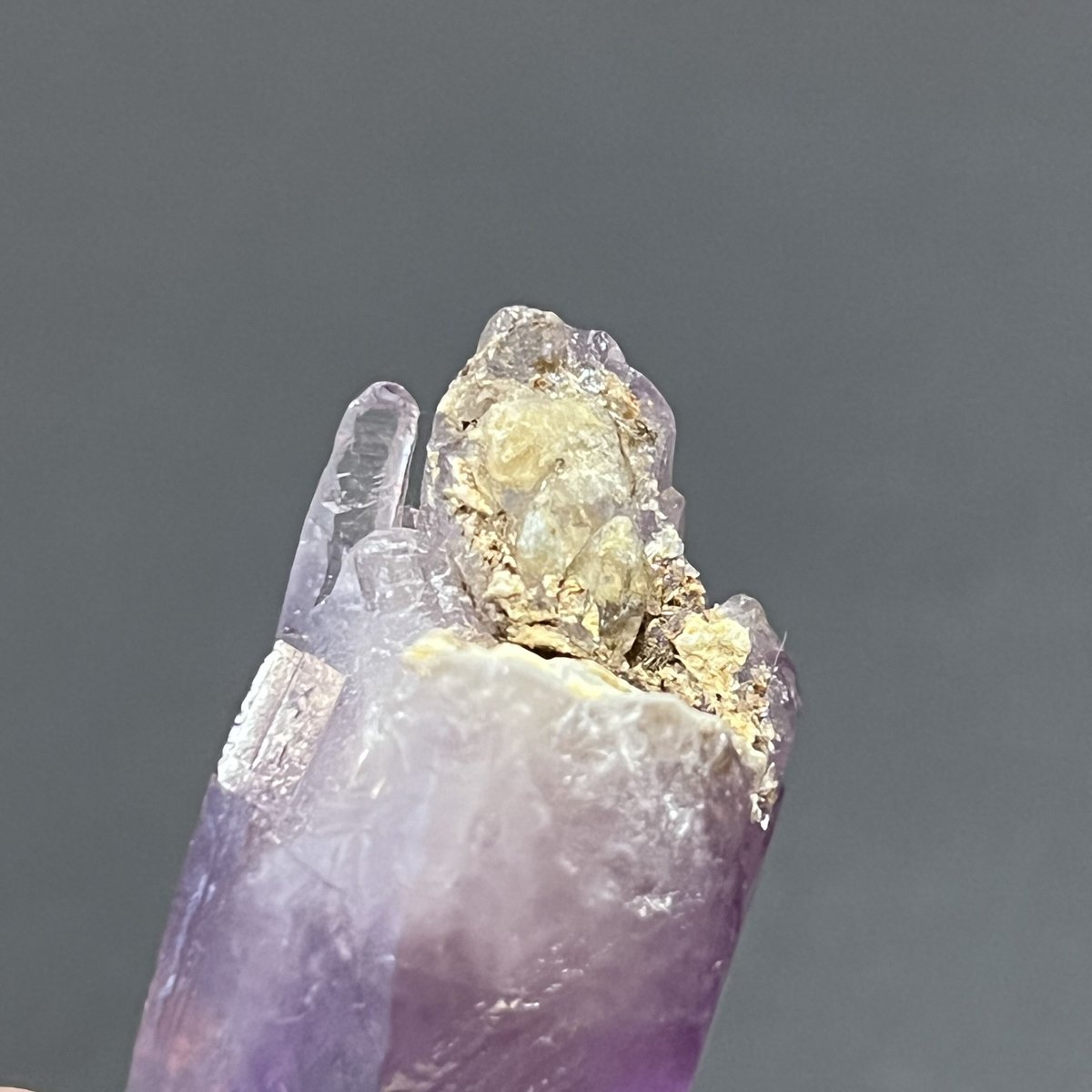 希少！ベラクルスアメジストのポイント③ドルフィンタイプ 希少！ベラクルスアメジストのポイント③ドルフィンタイプ