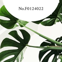 No.F0124022