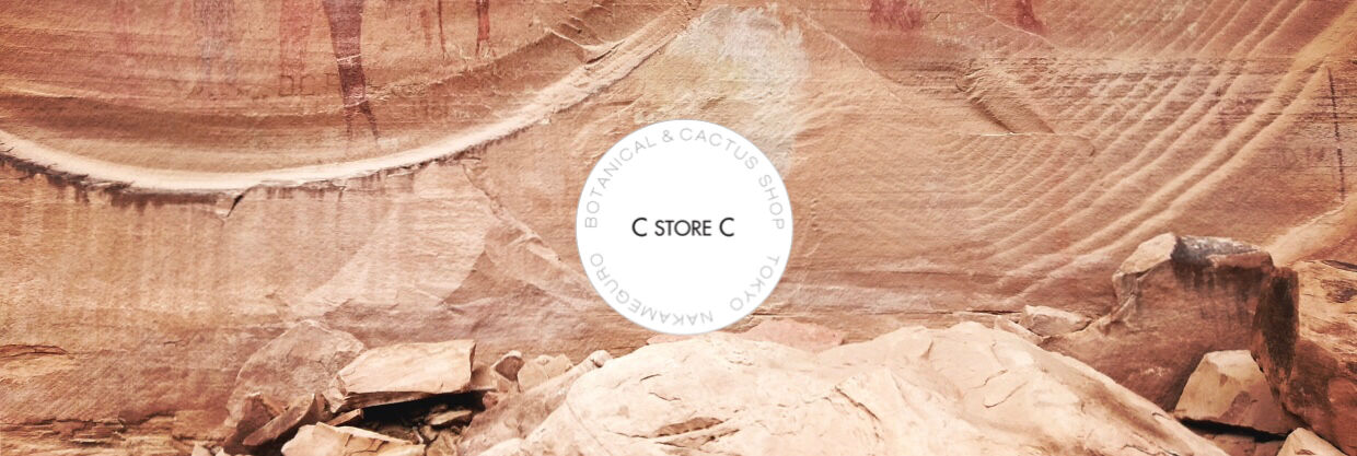 C STORE C