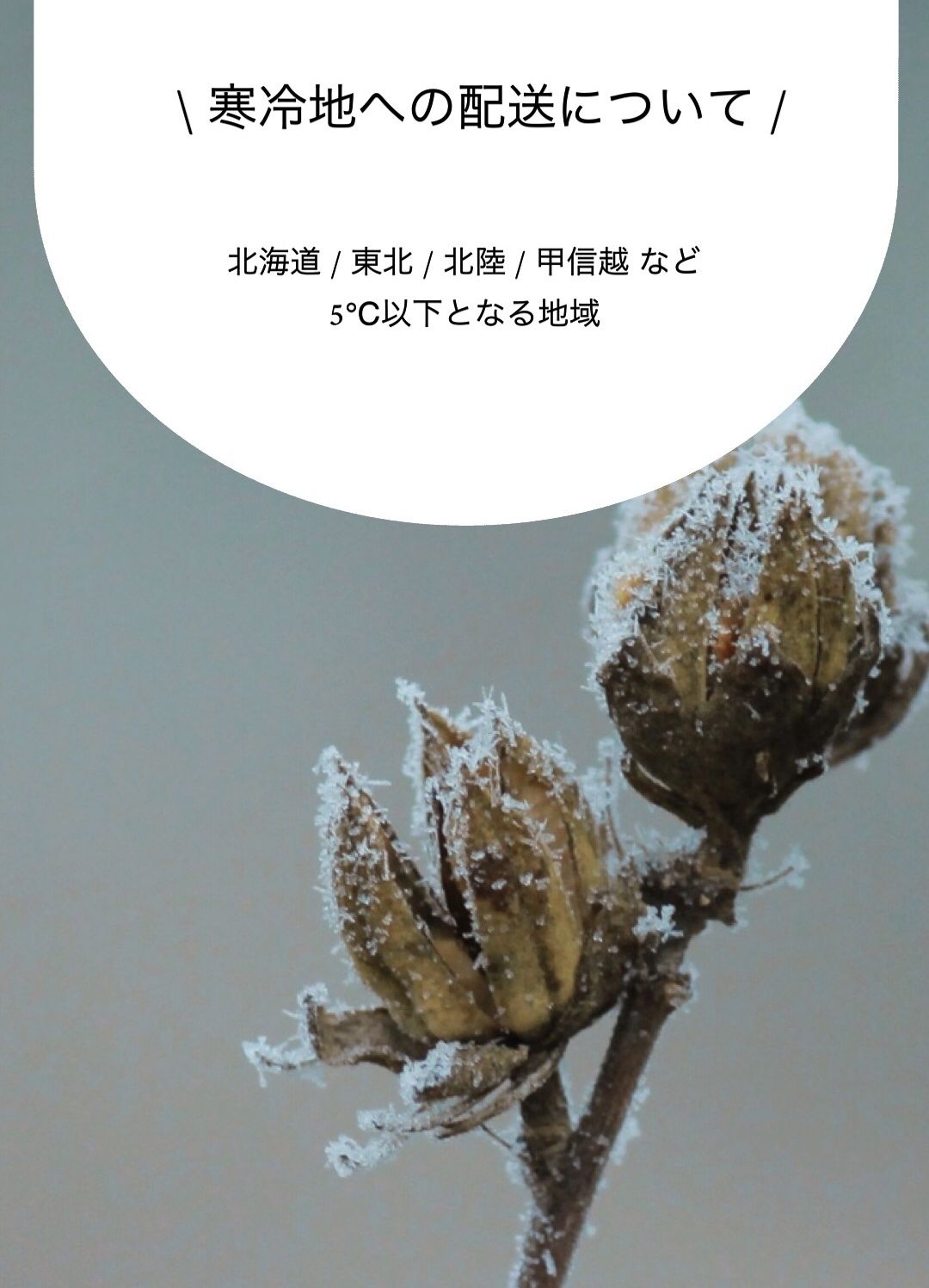 冬期の寒冷地への配送について