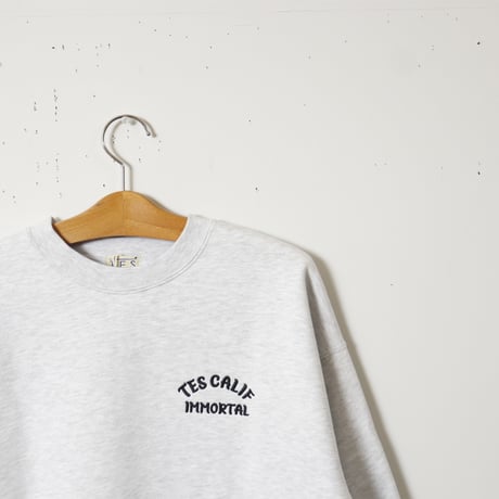 【UNISEX】TES（テス）2025 SNAKE CHAIN EMB BIG SWEAT / クルーネックスウェット　C-25374301