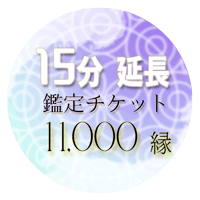 鑑定後追加（１5分）専用チケット【鑑定後チケット】