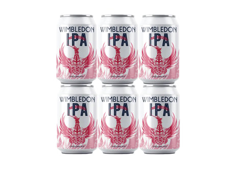 IPA 6cans(330ml ※全国送料無料