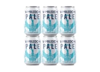 PALE ALE 6cans(330ml ※全国送料無料