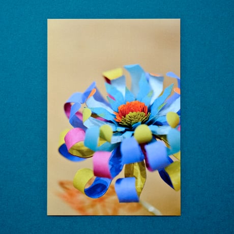 post card［colorful］