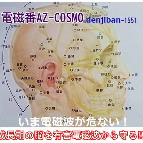 5G電磁波・過敏症対策「電磁番AZ-COSMO」１点