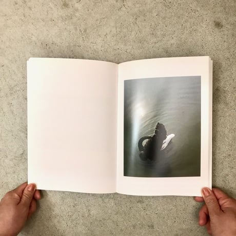 ONTOLOGIE / AKITSUGU KOJIMA