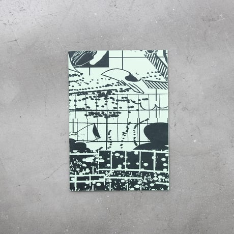 BROSHUDA “ASEMIC INTENT”