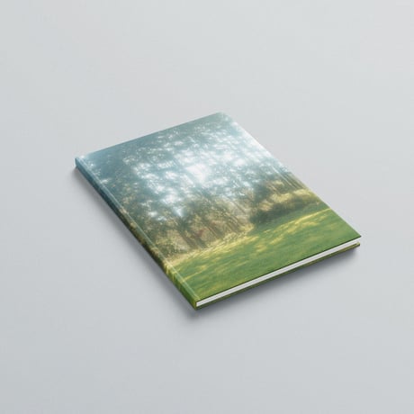 Yushi Arimura "Ambient Reflections"