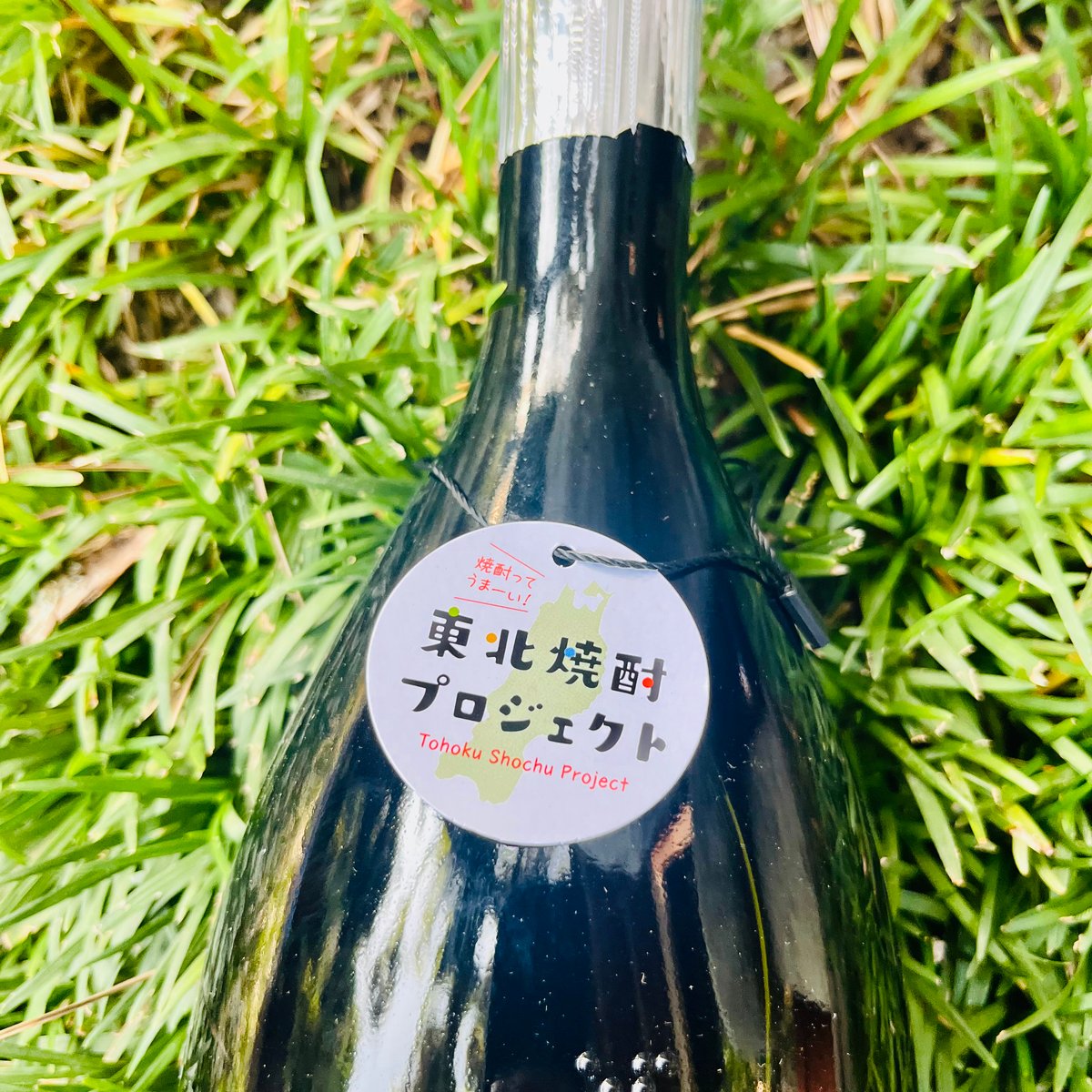 シン・ネッチュウ 甕 1500ml | コタニ酒店