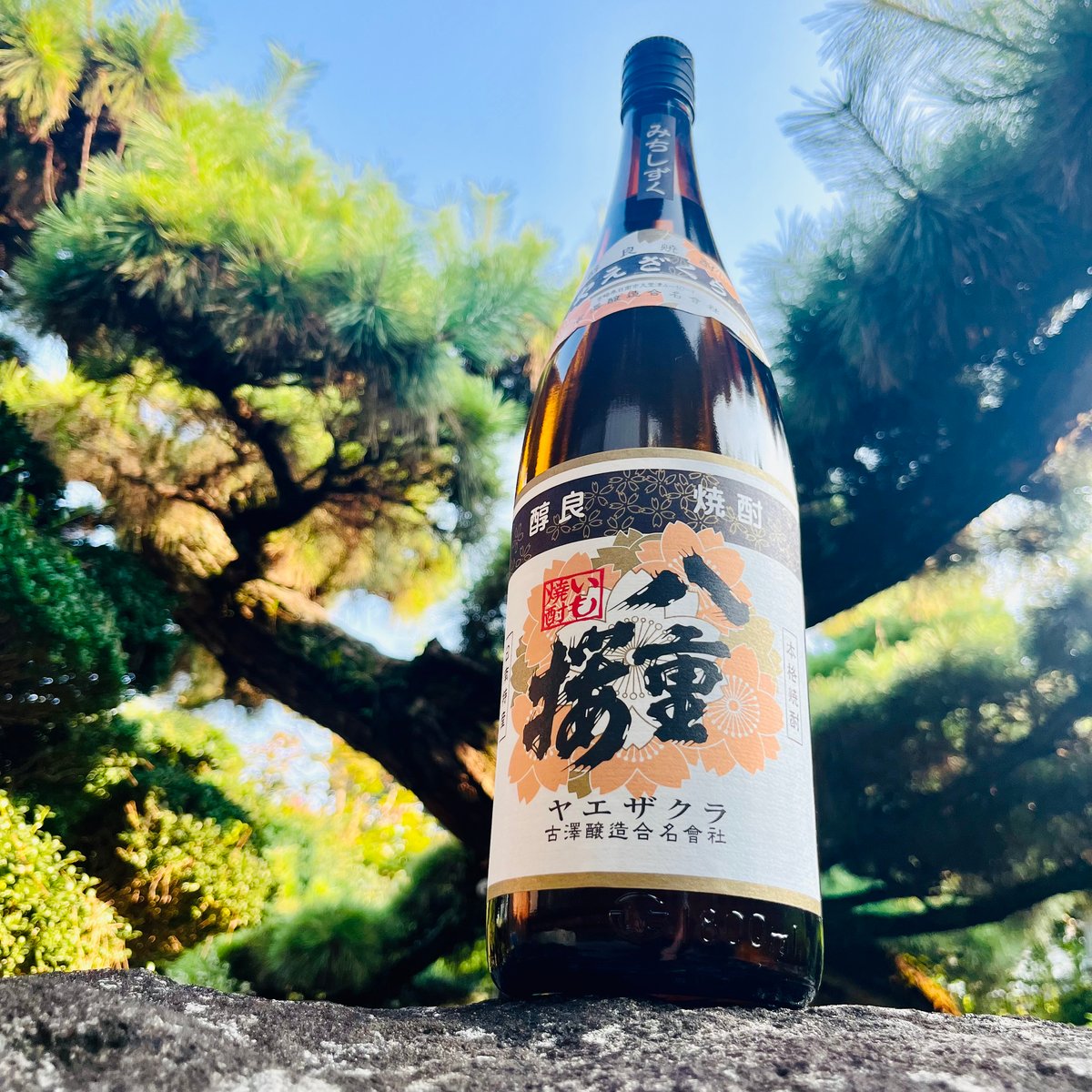 八重桜 芋 みちしずく 1800ml | コタニ酒店