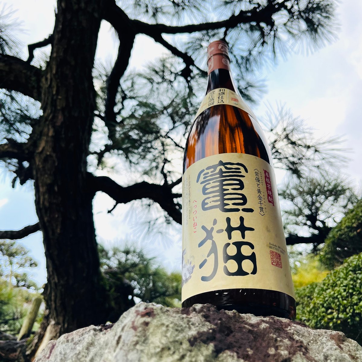 竃猫（へっついねこ） 1800ml | コタニ酒店