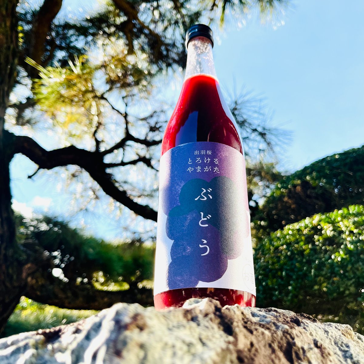 出羽桜 とろけるやまがた ぶどう 720ml | コタニ酒店