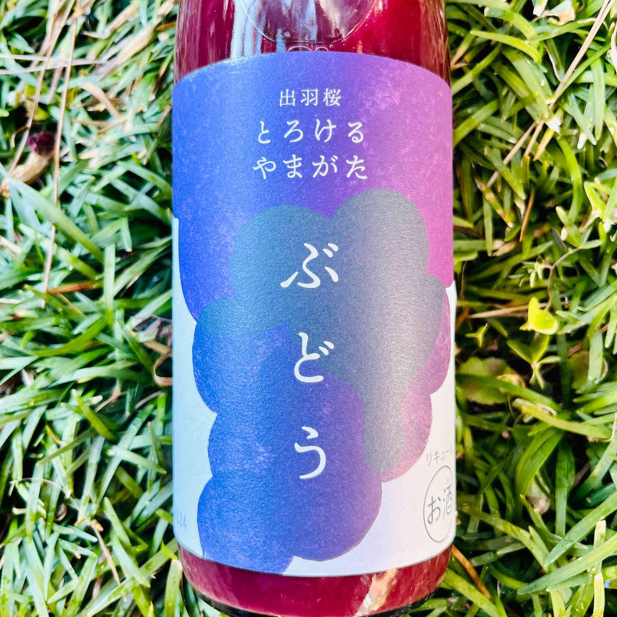 出羽桜 とろけるやまがた ぶどう 720ml | コタニ酒店